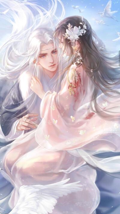 《探寻灵猫传沈既明设定的奥秘》（揭秘沈既明设定）