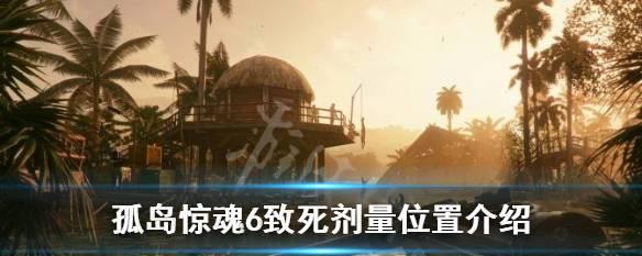 《孤岛惊魂6》沙漠之鹰获取攻略（掌握攻略轻松拿到沙漠之鹰）