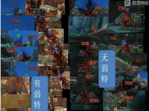 怪物猎人OL连射弓配装攻略：打造最强连射弓