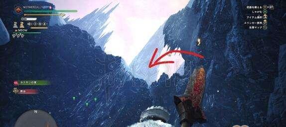 《怪物猎人世界冰原》金猴捕捉攻略（教你如何成功捕捉温泉金猴）