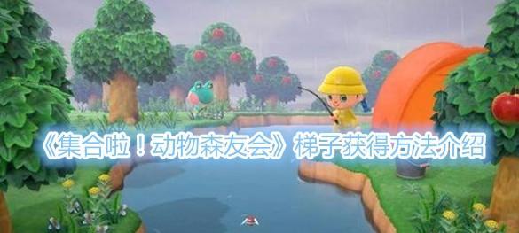 如何快速刷出啦动物森友会金气球（掌握这些小技巧）