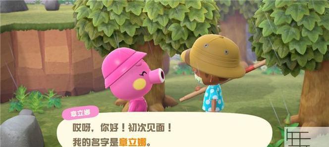 探秘动物森友会狸端机的神奇之处（揭开狸端机的面纱）