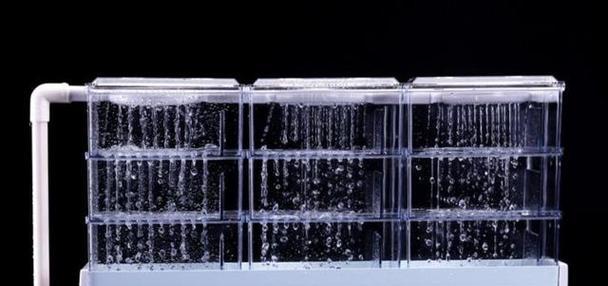 缺氧新版本十大技巧？掌握这些方法轻松上手！