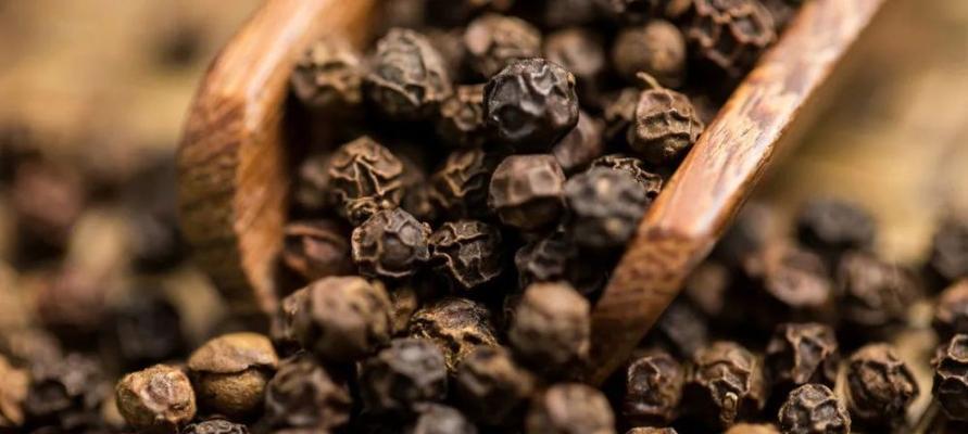 缺氧环境下如何完美种植胡椒树？最完美的种植方法是什么？