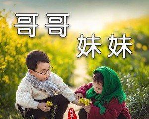 废土2无损风筝战术技巧是什么？如何有效运用？