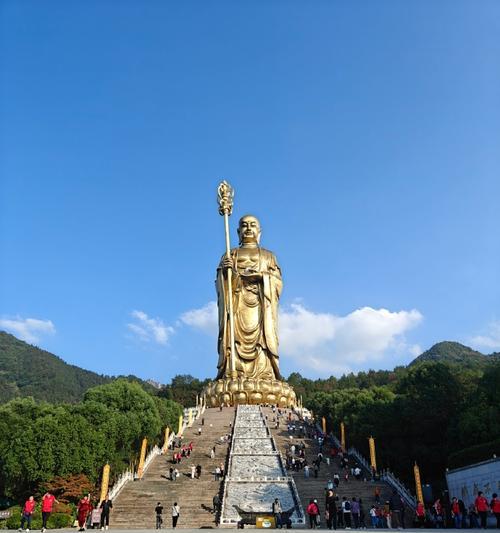 九华老虎宠物选择技巧有哪些？