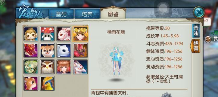 诛仙手游的更新周期是多久？下次更新会带来哪些新内容？