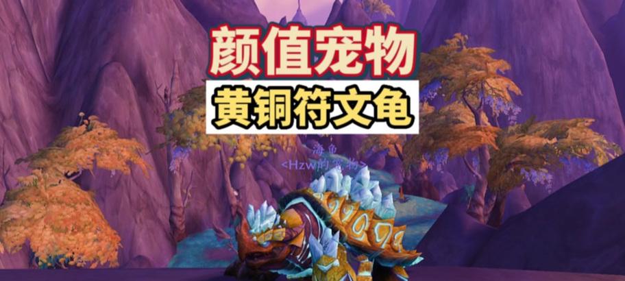 魔兽世界乌龟服玩具制作方法是什么？