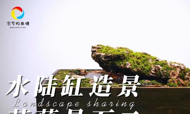 苔石制作方法是什么？
