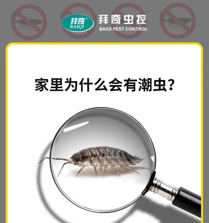 端游中的潮虫指的是什么？有什么特点？