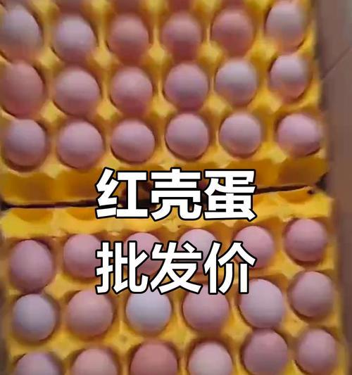 红蛋的获取方法有哪些？红蛋能孵化出什么？