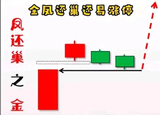 9人凤凰的战斗策略是什么？如何有效击败9人凤凰？