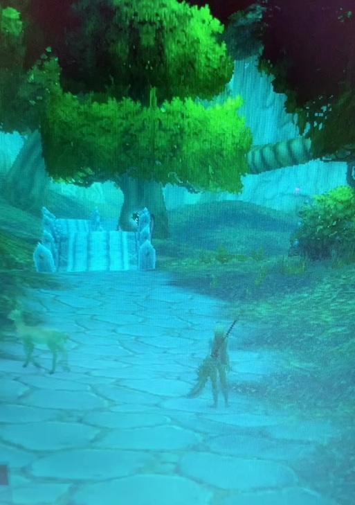 魔兽世界plus版p3去月光林地的路线是什么？
