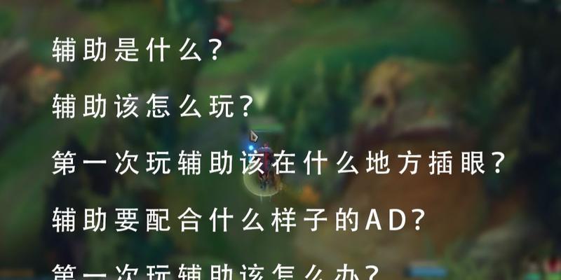 职业赛场辅助英雄联盟怎么玩？辅助英雄的玩法技巧是什么？