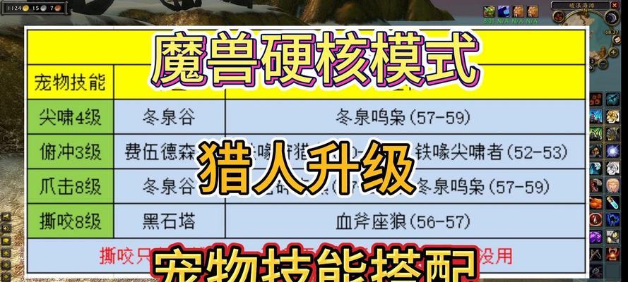 魔兽战斗宠物的使用方法是什么？