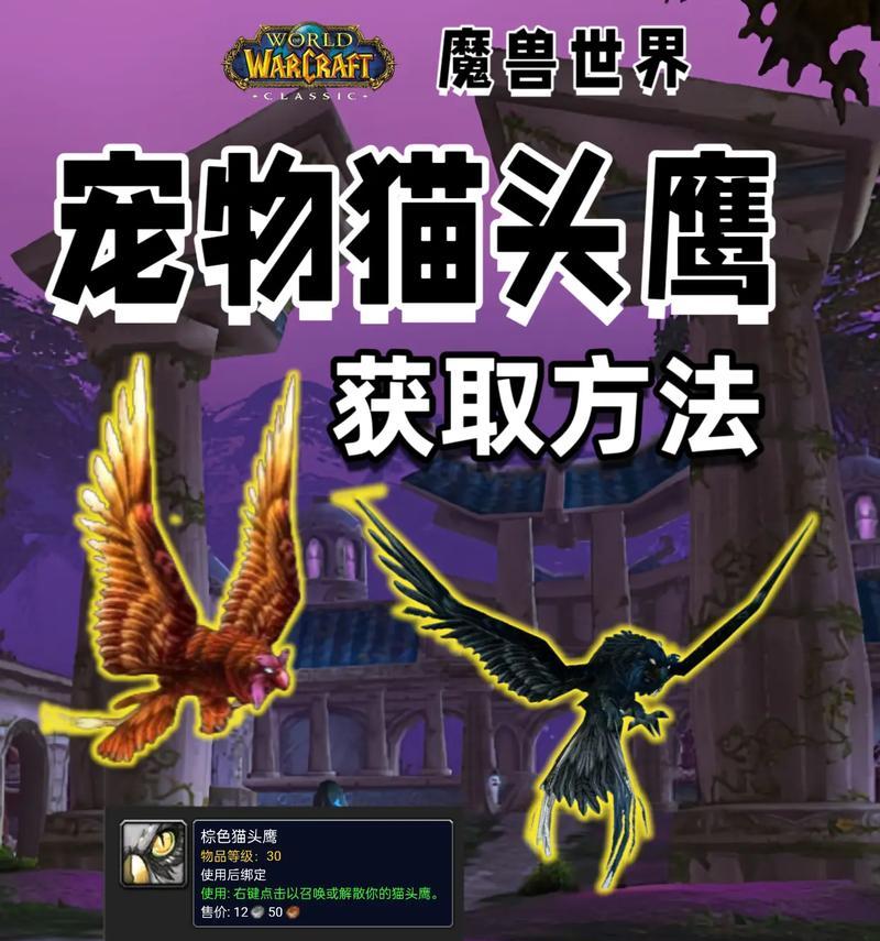魔兽战斗宠物的使用方法是什么？