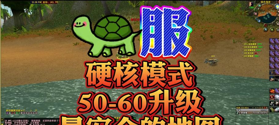 魔兽世界乌龟服60级后玩法指南？