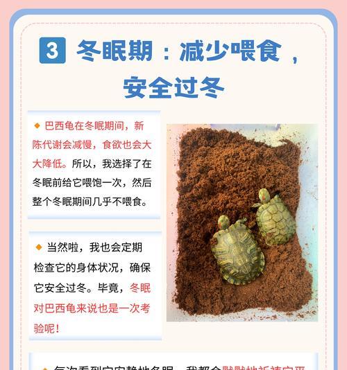 乌龟战场的进入条件和策略有哪些？