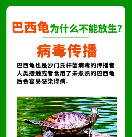乌龟战场的进入条件和策略有哪些？